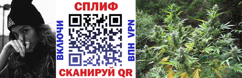 цена   Александровск  Конопля семена 